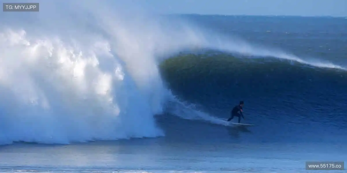 ✨ 一键订阅，精彩不断！最新赛事资讯，第一时间送达！